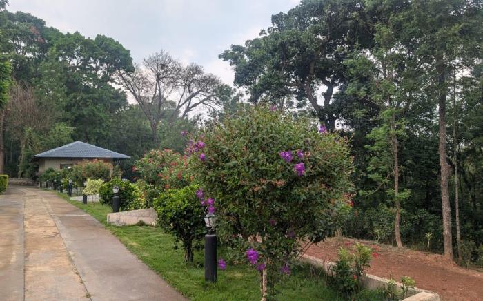Coffee Paradise Resort 