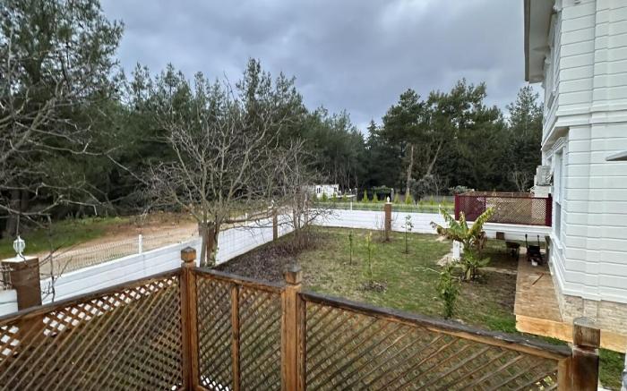 Deluxe Villa in Forest