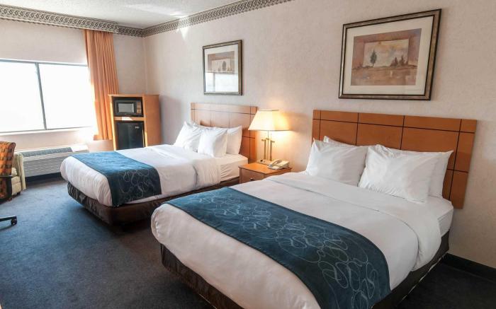 Comfort Suites   University