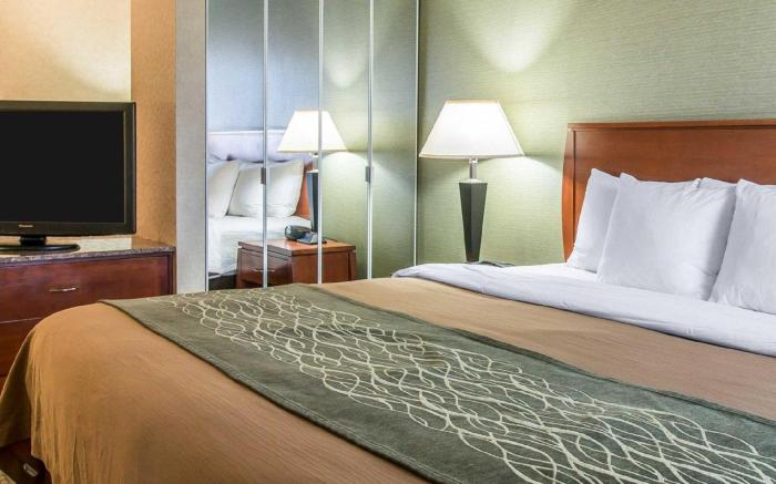 Comfort Inn Near Greenfield Village