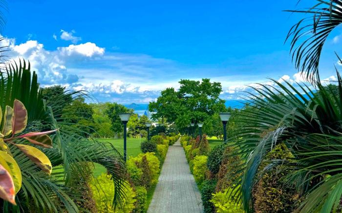 The Vineyard at Tanauan