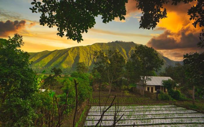 Tresno Sembalun Rinjani