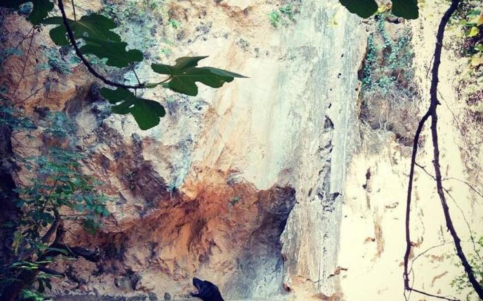 Daphnus Apartment in Agios Konstantinos