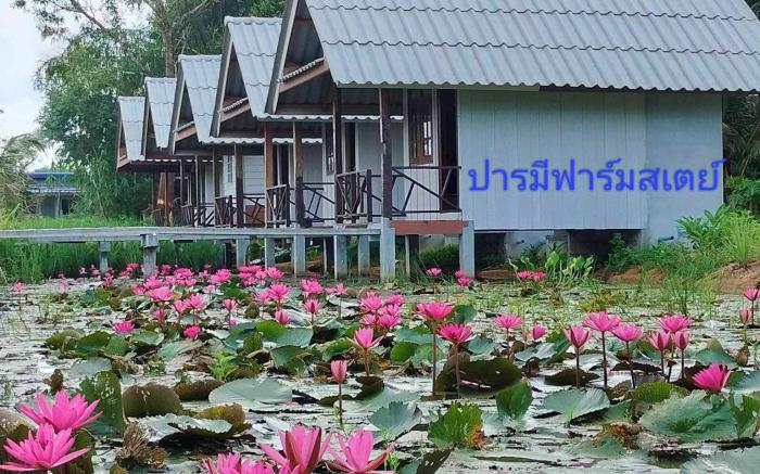 Paramee Farm Stay
