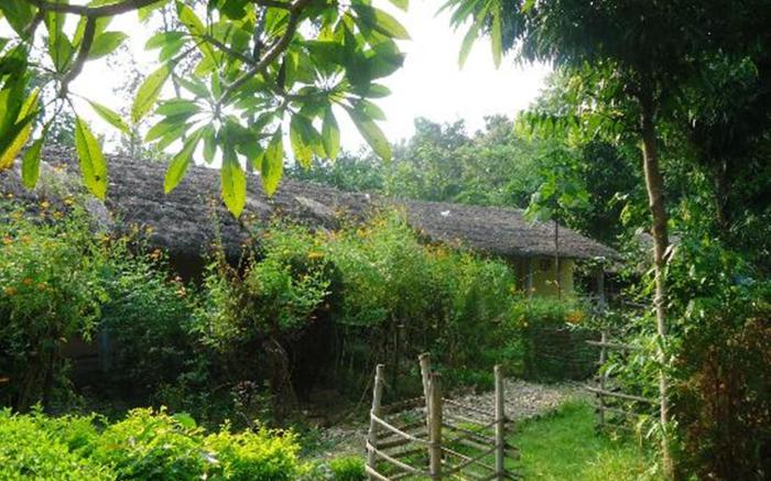 Bardia Jungle Cottage