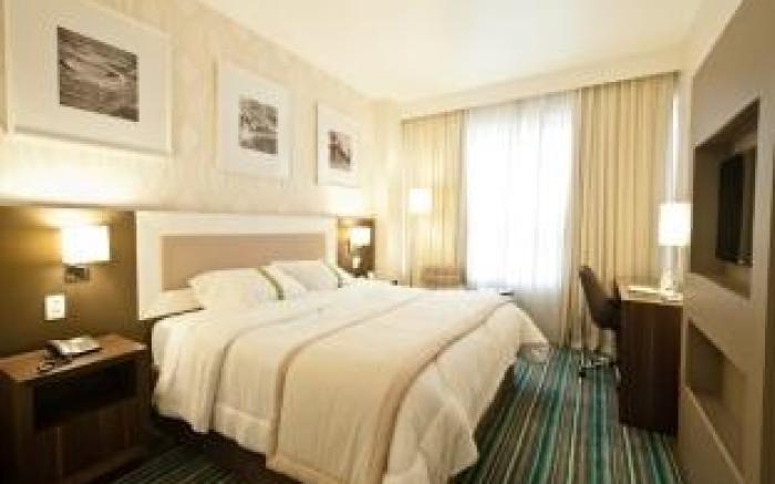 Holiday Inn Belo Horizonte Savassi By IHG