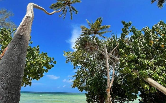 Ycona Eco-Luxury Resort