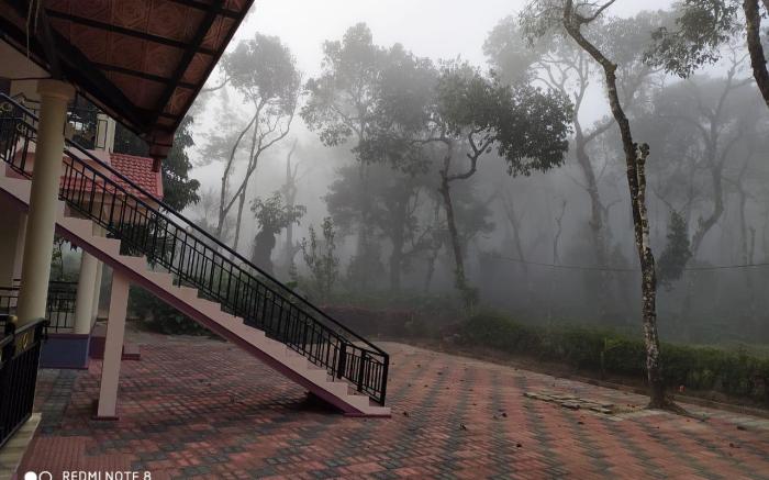Coffee nest coorg