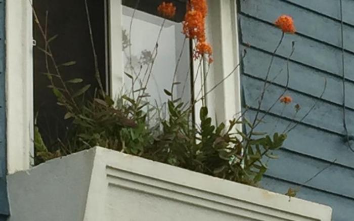 Mountain View Holiday Rentals
