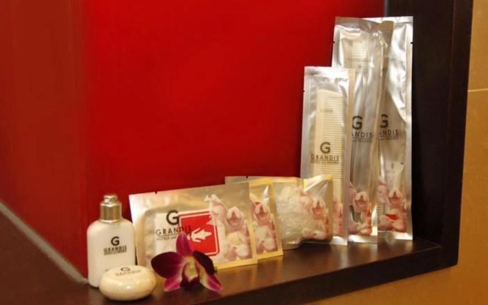 Hotel Grandis