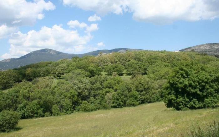 Casona De Navalmedio