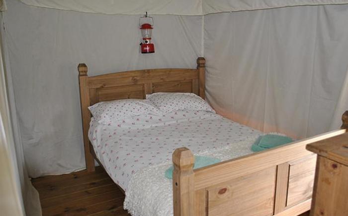Dawn Chorus Holidays Tents