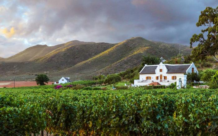 Orange Grove Farm