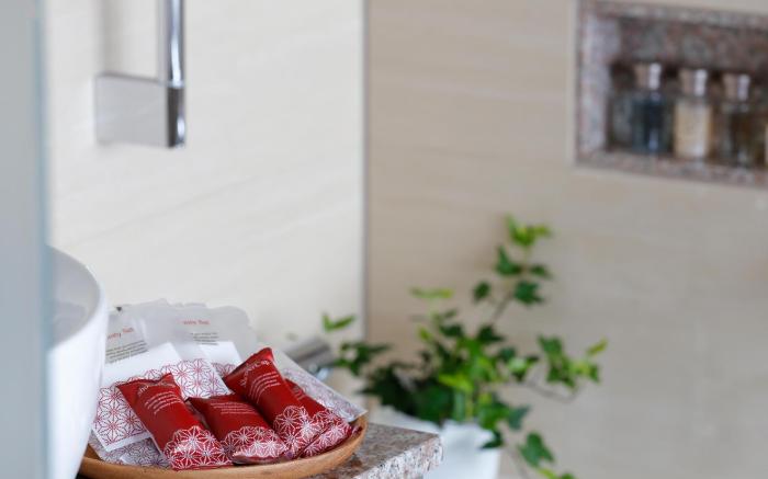 Small Boutique Hotel Villa Aneyakoji