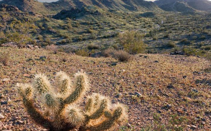 WorldMark Phoenix South Mountain Preserve