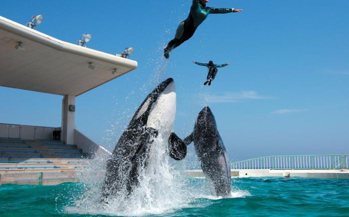 Kamogawa Sea World Hotel