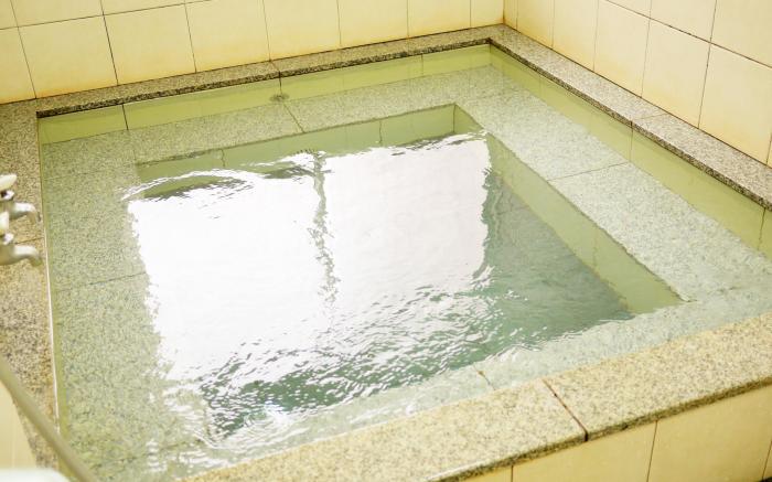 Hiroshima Peace Hotel