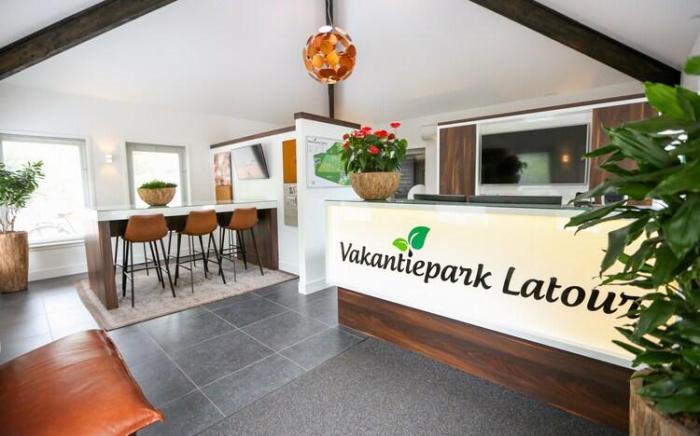 Eco Villa near Forest in Netherlands