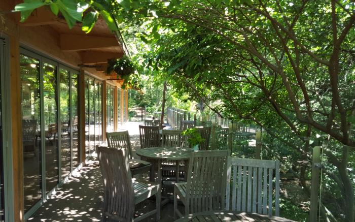 Healience Seon Maeul Healing Resort (Korea Quality)