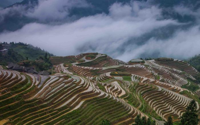 Longji Holiday Hotel