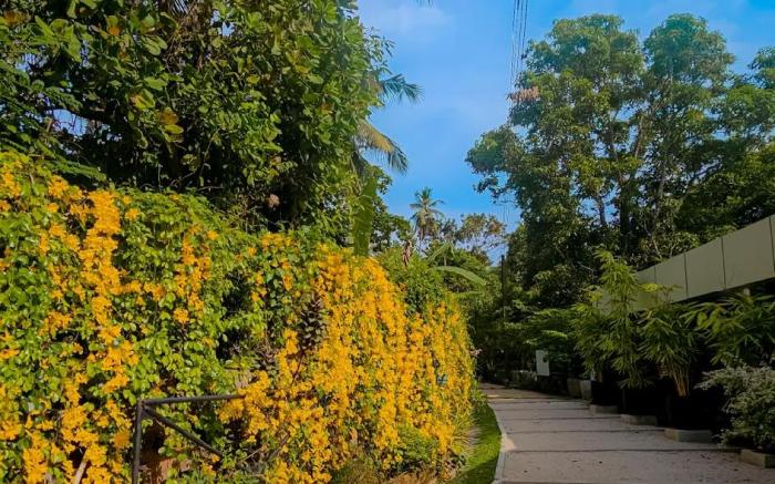 Ceylon Kingsmen Garden - Katunayake