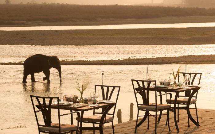 Meghauli Serai, A Taj Safari - Chitwan National Park