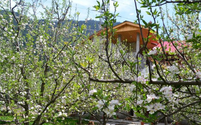 Countryside Himalayan Resort, Manali