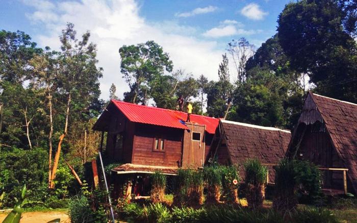 Turtle Pond Estate