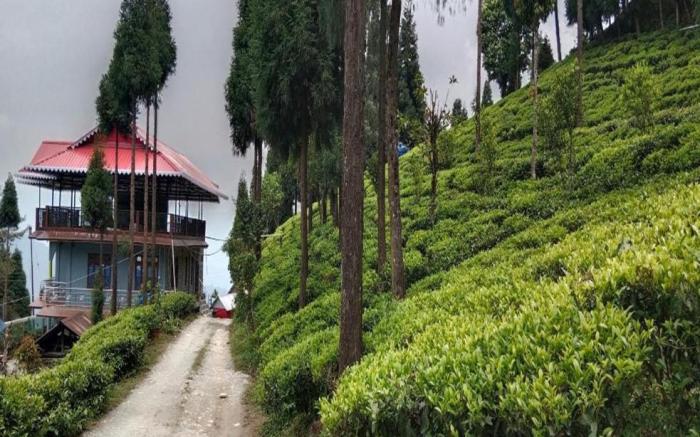 The Tea Garden Homestay by StayApart