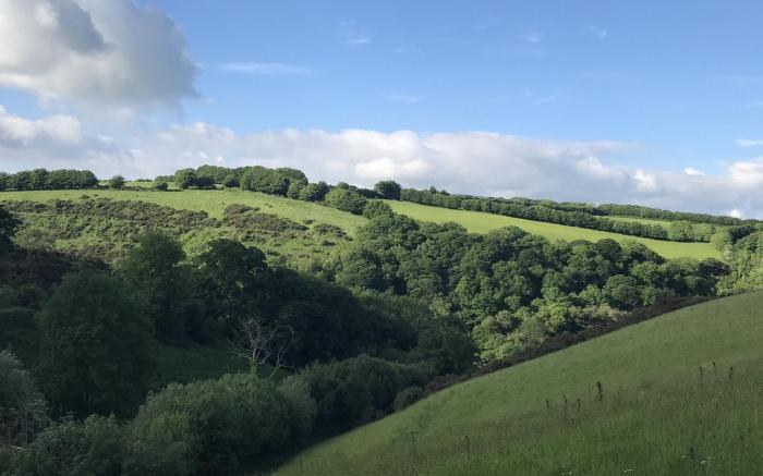 The Cowshed, Brendon Hill