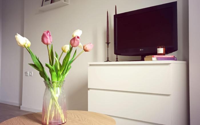 Bright and Modern studio near City Center