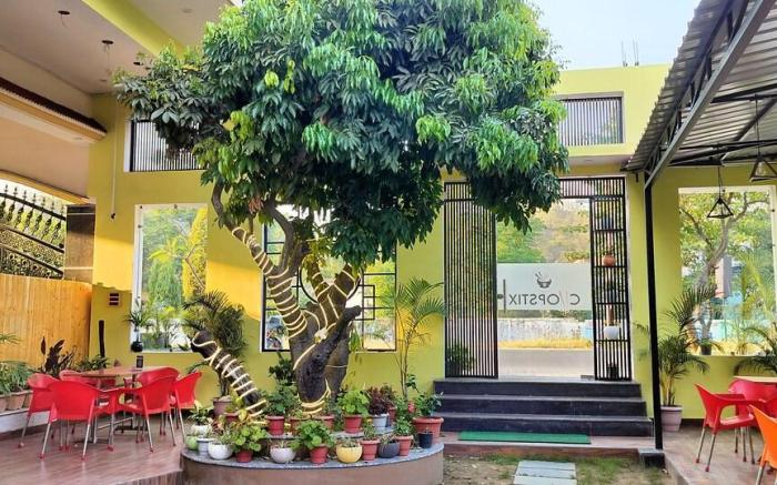 Hidden Leaf Homestay