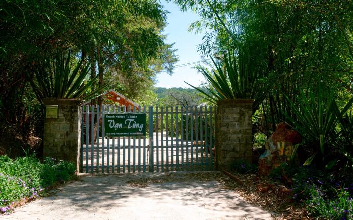 Vạn Tùng Homestay & Café