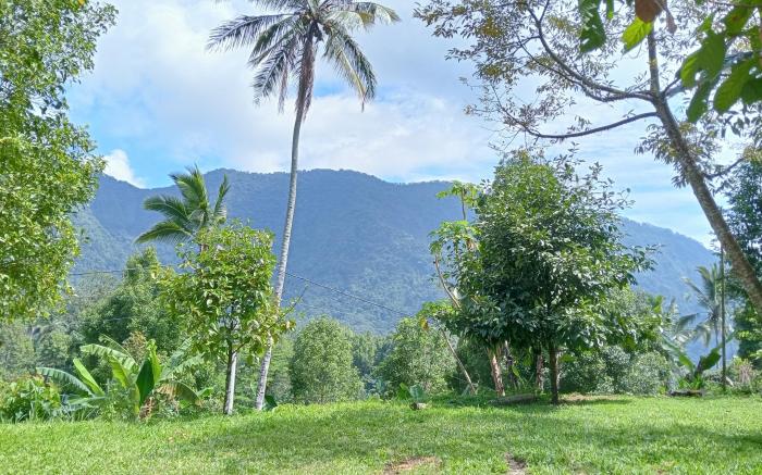 Jepun Homestay Lemukih 