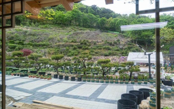Hadong Hanok Pension The Better Day