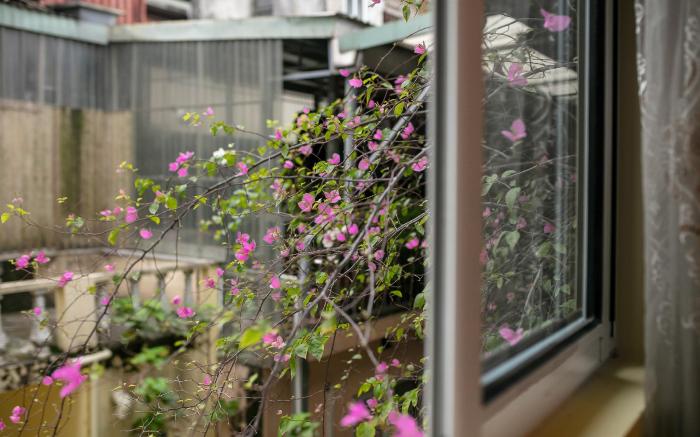 Hanoi Backpackers Hostel Oldtown