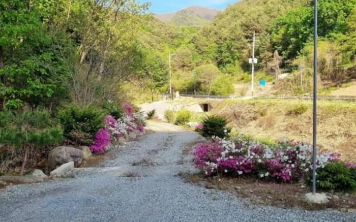 Yanggu Byeolha Pension