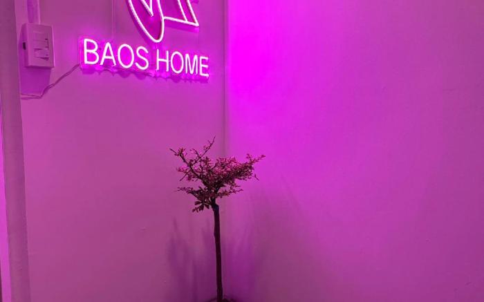 Baos Home