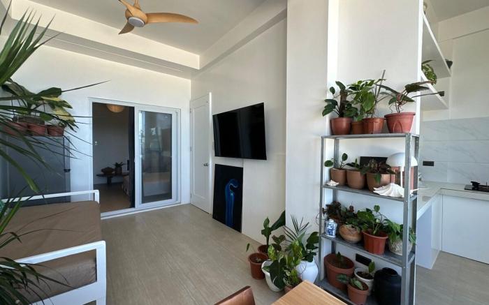 Cozy  Beachfront Spacious  Apartment with Kitchen 