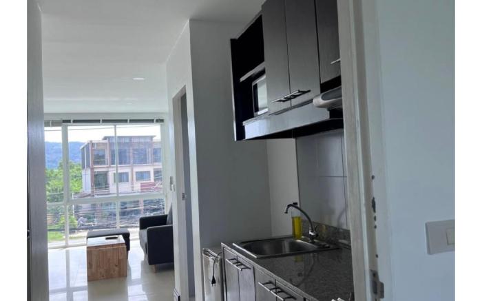 Big Apartment with Garden view