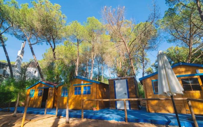 ZALUAY - Casas de Madera