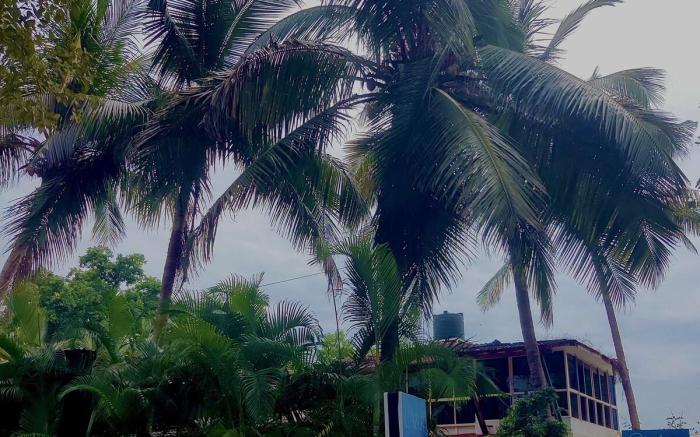 L'AZUR Studio Apartment, Vagator Beach GOA
