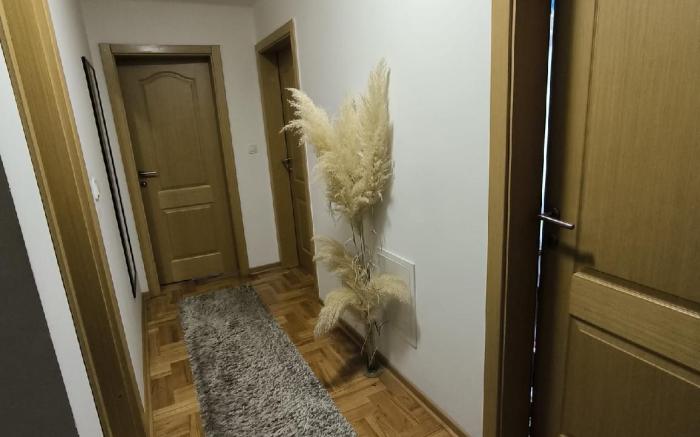 Apartman Zivic