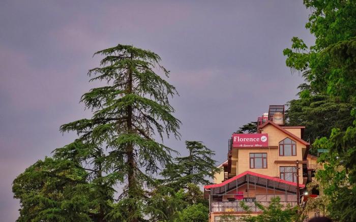 Florence B&B Shimla – Stay Near Mall Road & Ridge
