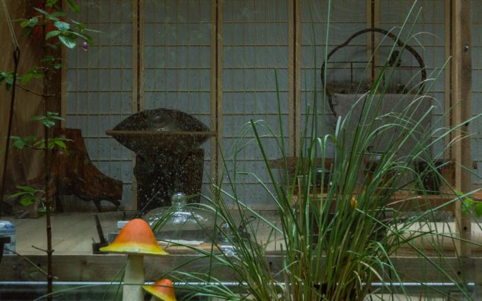 Jingdezhen Tree Heart House B&B- 景德镇树园心舍民宿