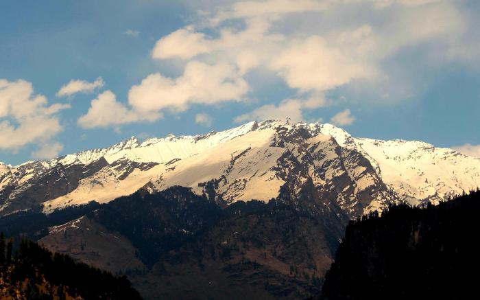 The Manali Lodge
