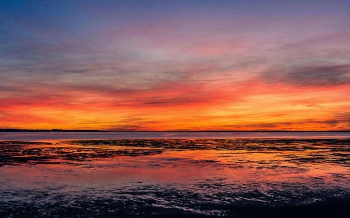 ibis Arcachon La Teste