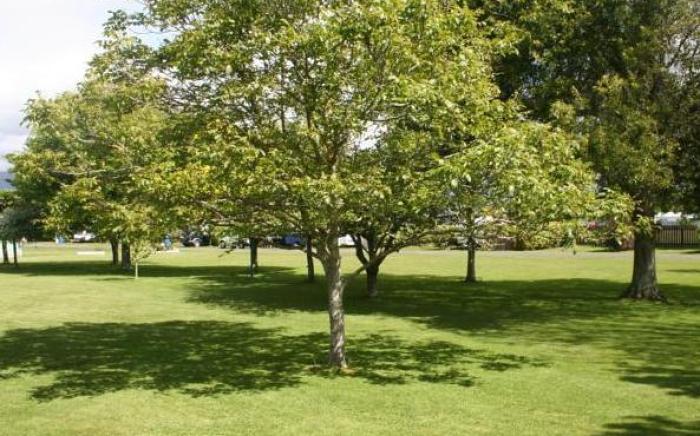 Levin TOP 10 Holiday Park