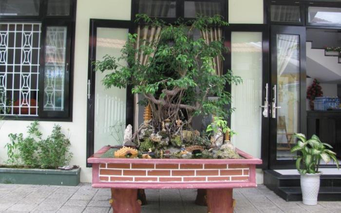 Thao Hieu Homestay Hoi An