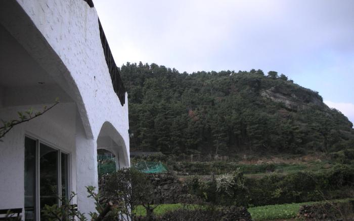 Kims Cabin Guesthouse